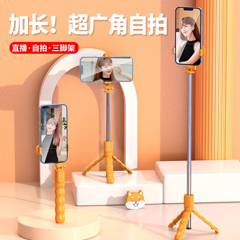 KT01 Tripod Selfie Stick with Bluetooth