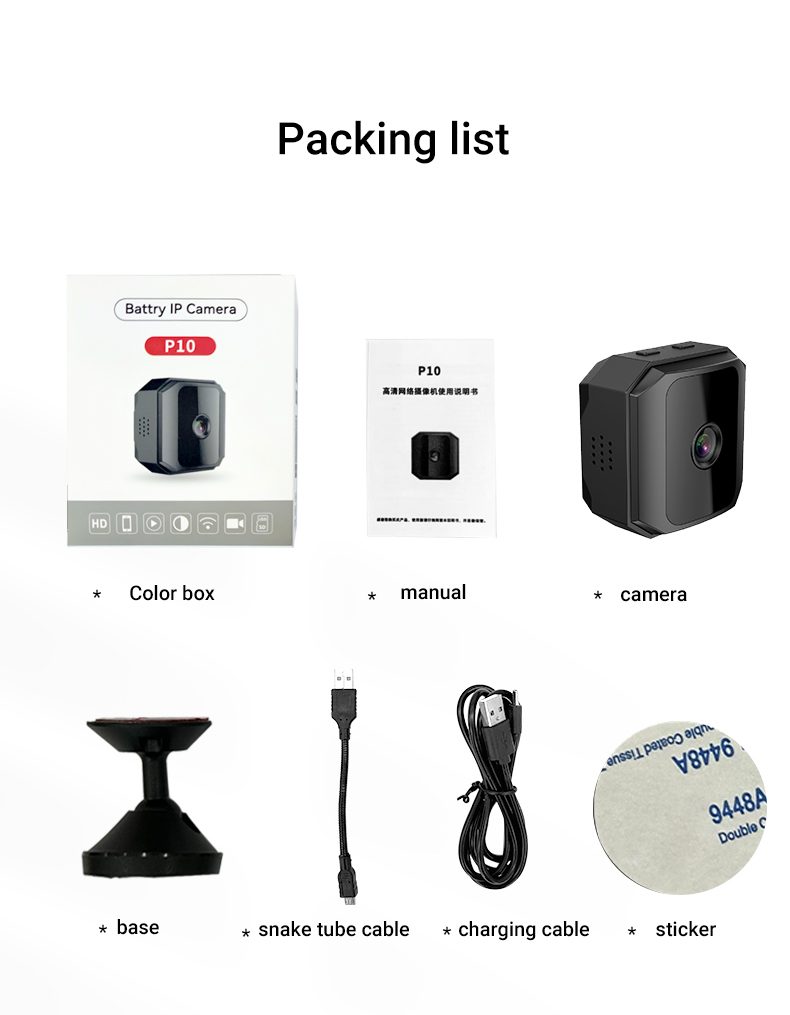 P10 Camera & Display Accessory with Security Camera
